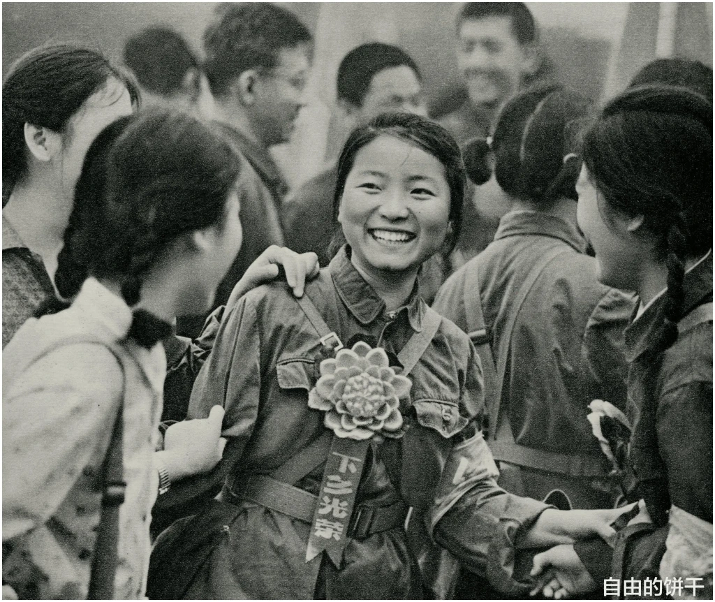 输入图片
